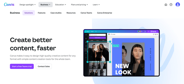 Custom Canva Design Services for Small Brands & Influencers
